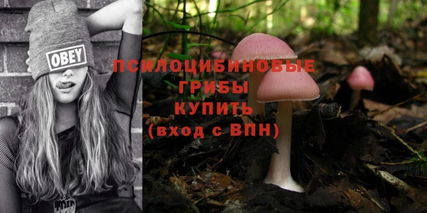 гидропоника Верхнеуральск