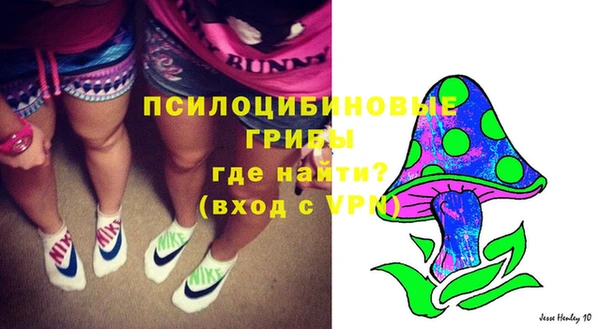 прущая мука Верея