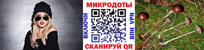 Псилоцибиновые грибы ЛСД Вуктыл